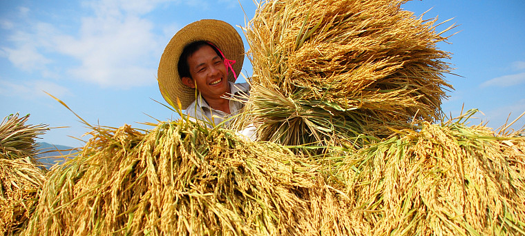 践行国家惠农政策